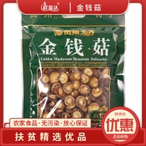 贵州天齐金钱菇（170g）