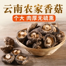 云南昭通农家干香菇500g
