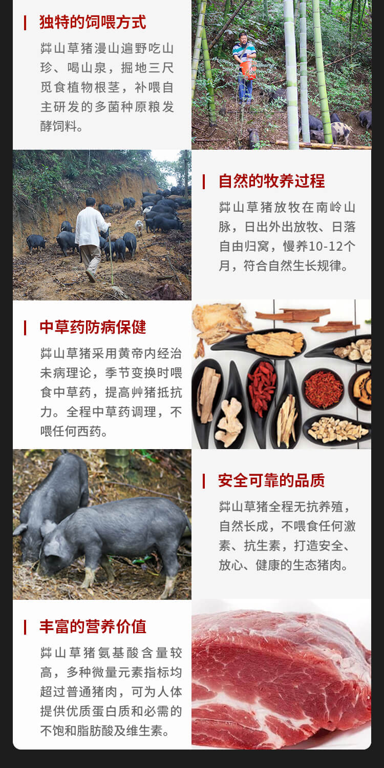 莽山黑豚前腿肉1斤 后腿肉1斤 生鲜猪肉 广东东西部扶贫协作产品
