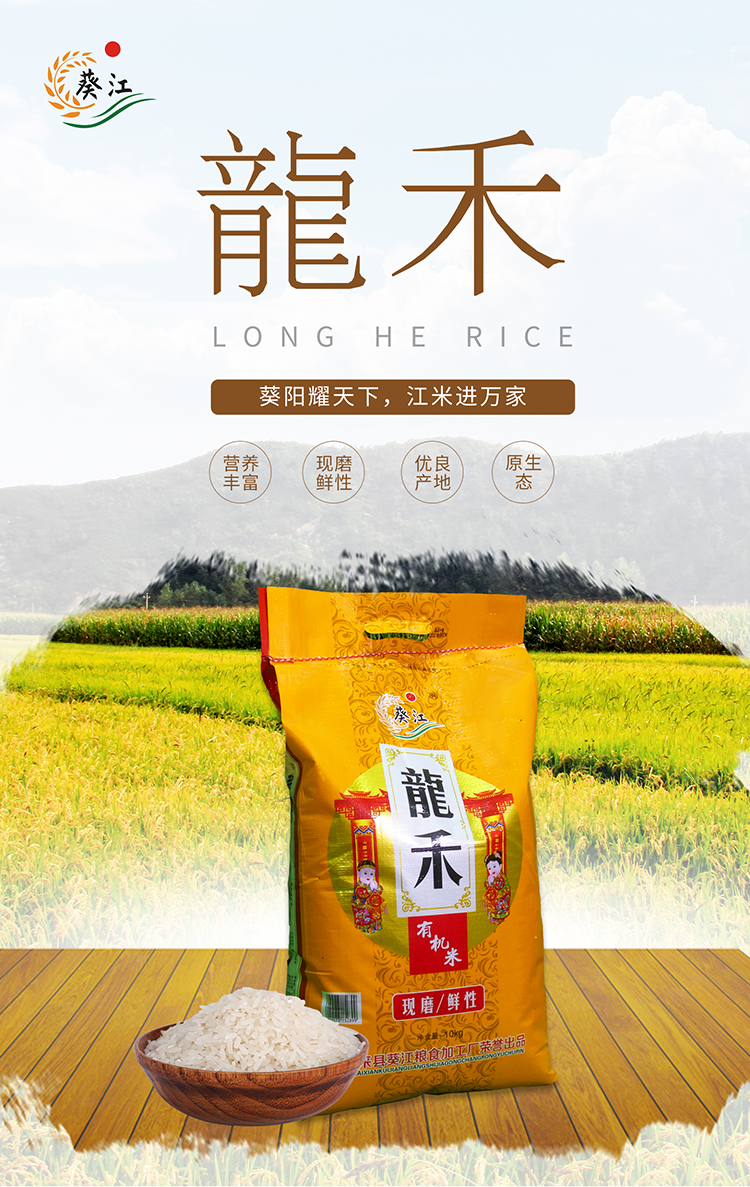 【揭阳馆-葵江大米】龙禾香米10kg