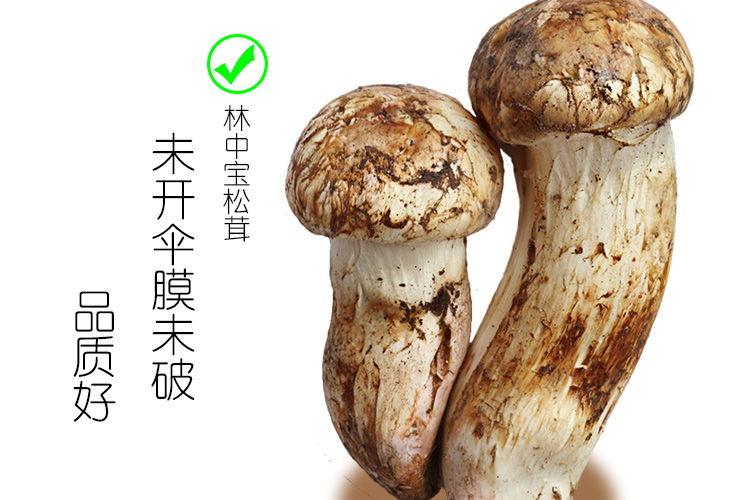 松茸70g(新包装)干货特产 送礼佳品