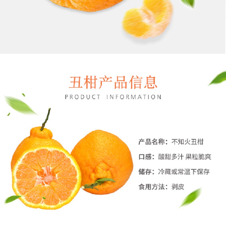 不知火丑柑_02.jpg