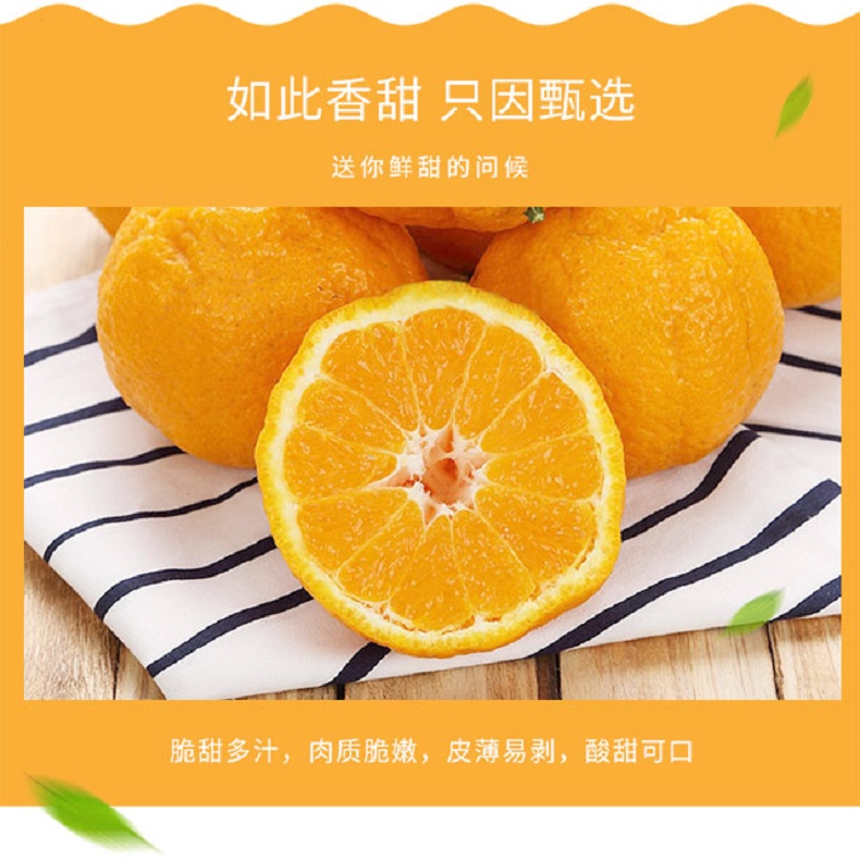 不知火丑柑_03.jpg