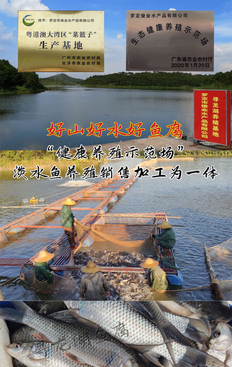 鱼腐_01.jpg