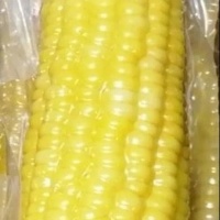【黑龙江】 10只真空装水果玉米 非转基因 东北鲜代餐粗粮（港澳台不发）