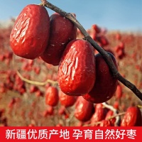 主图5