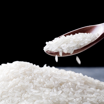 黑龙江松花江之乡汤旺河长粒香米原种香米5kg袋天然无添加