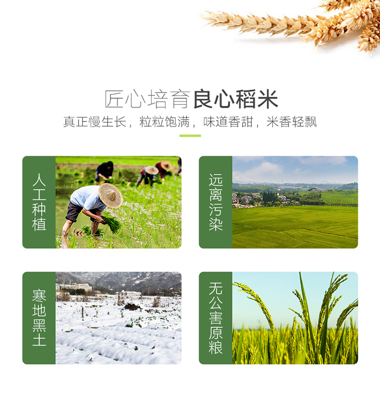 1608862907176307.jpg 详情页_05.jpg