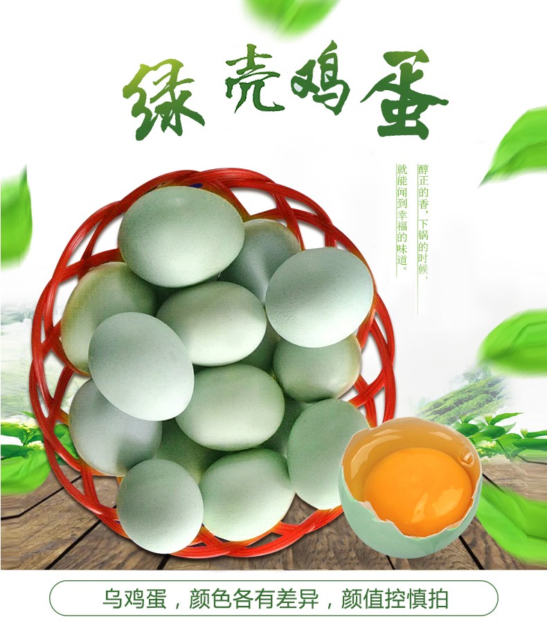 江西绿壳土鸡蛋