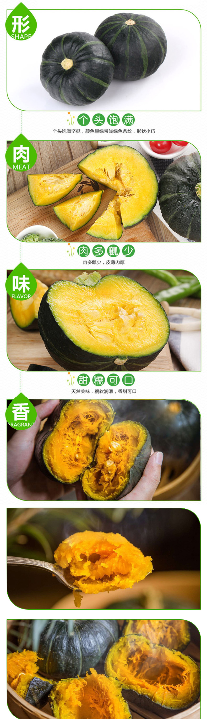 南瓜_02.jpg