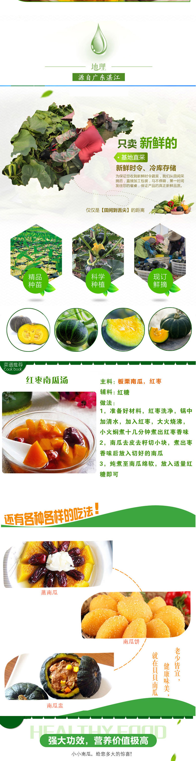 南瓜_03.jpg