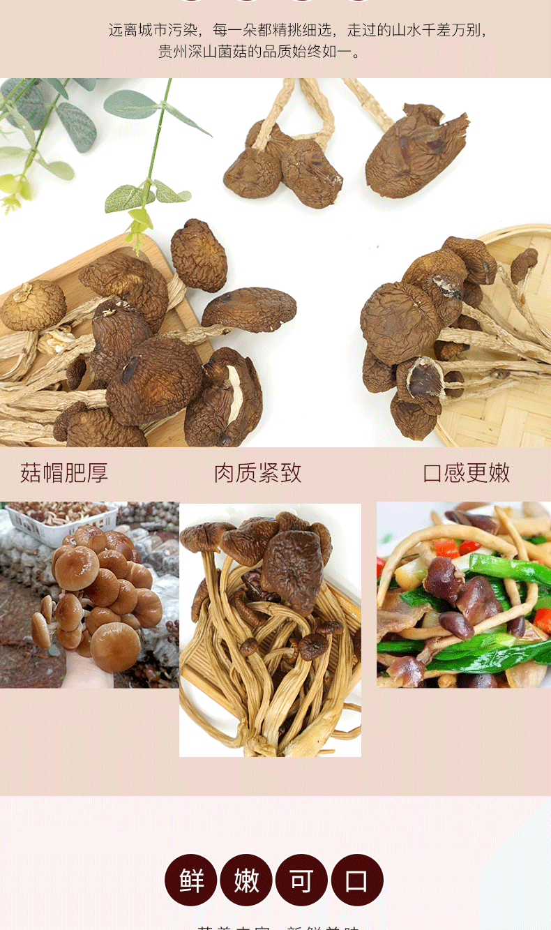 大茶树菇200g_03.png