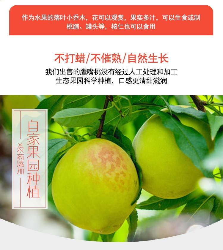 亚太产地证第八行_亚太产地证后发能用吗_亚太产地证哪几个国家
