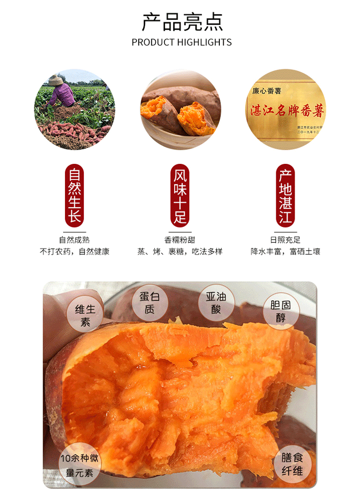 红薯品种大全图介绍图片