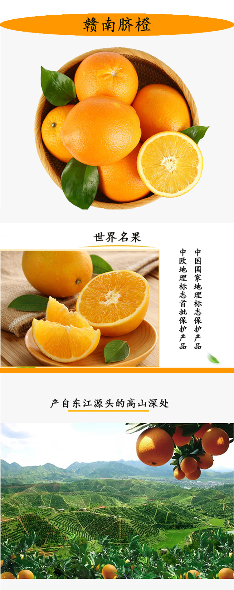 详情_01.jpg