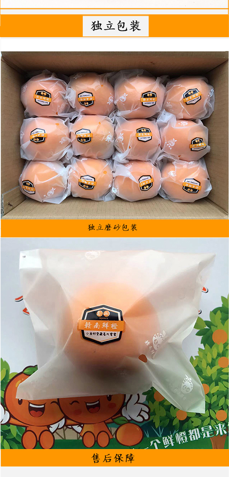 详情_03.jpg