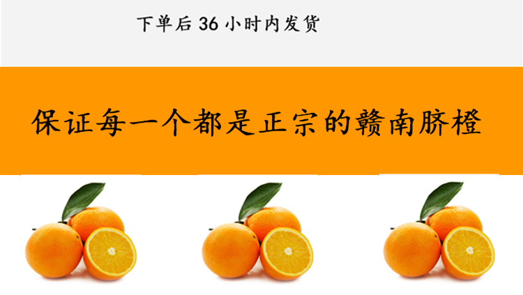 详情_04.jpg