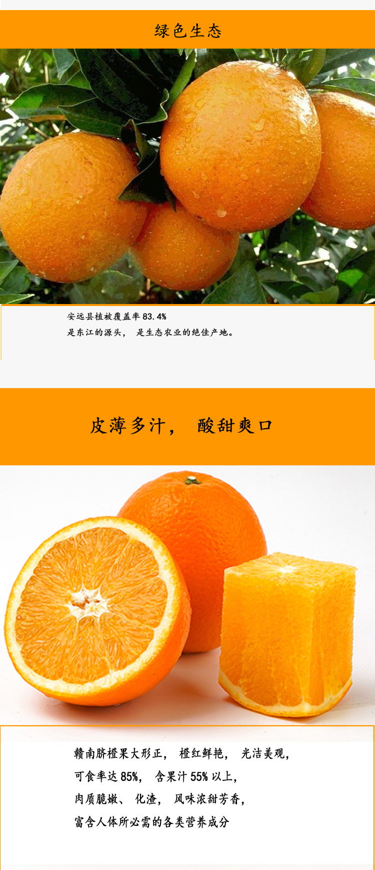 详情_02.jpg