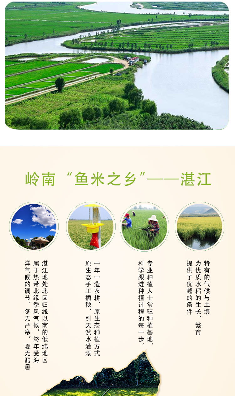 油粘米_02.jpg