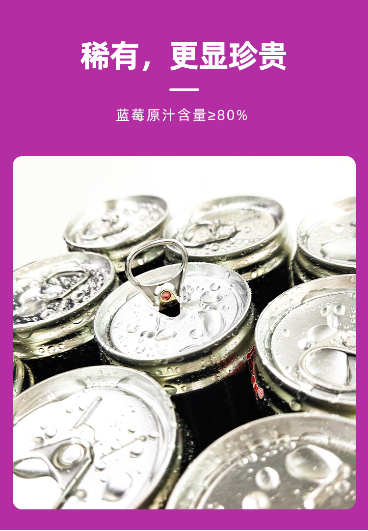 34-蓝莓果汁易拉罐（250mlX8罐）-详情页_11.jpg