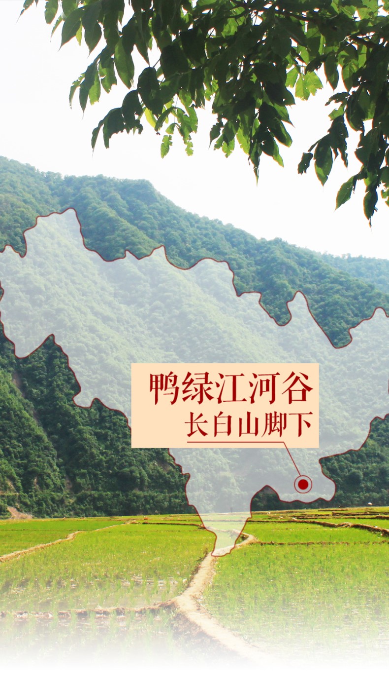 稻花香米_04.jpg