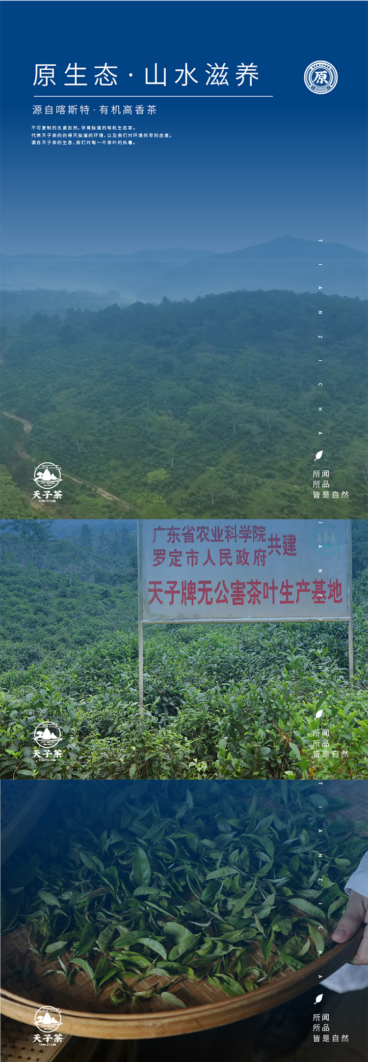 白色详情页_03_02.jpg