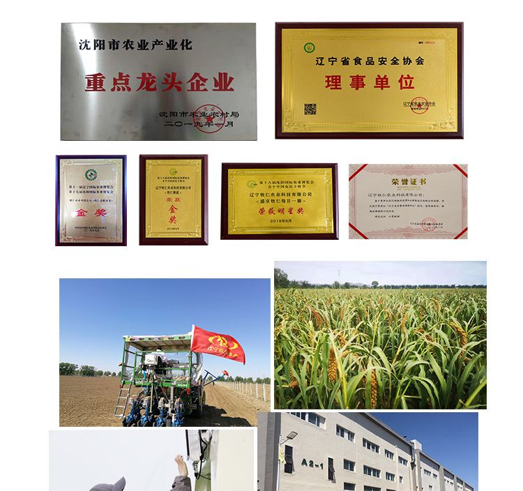 1664439159980340.jpg 10.jpg