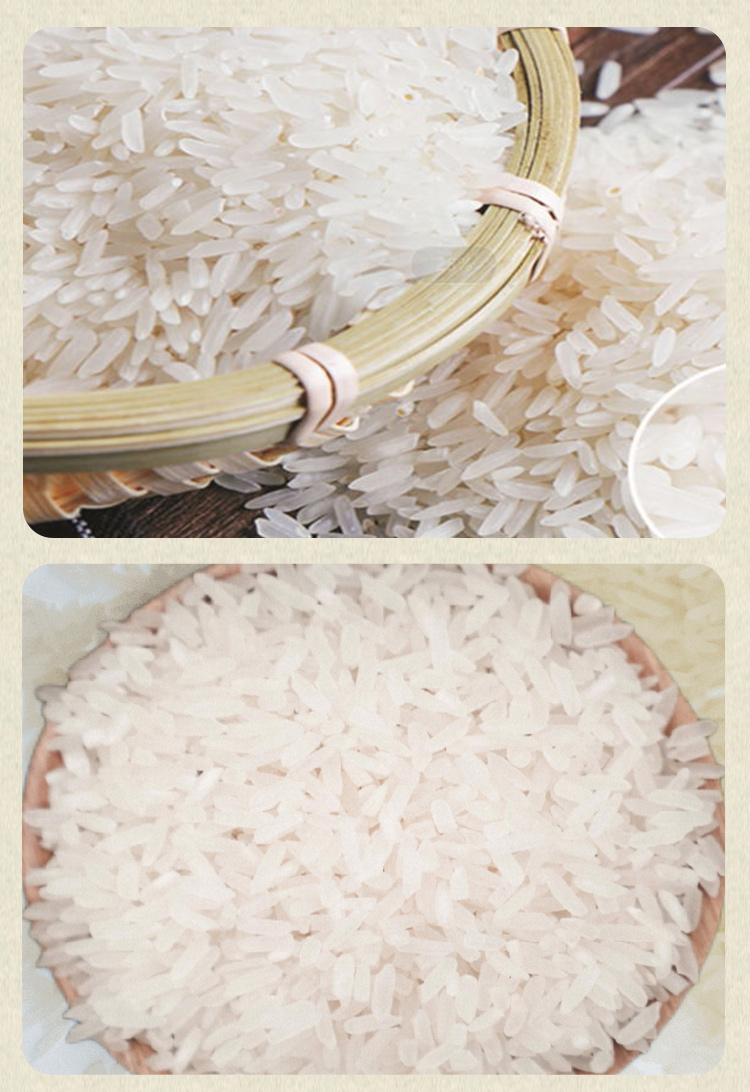 广东丝苗米品种图片