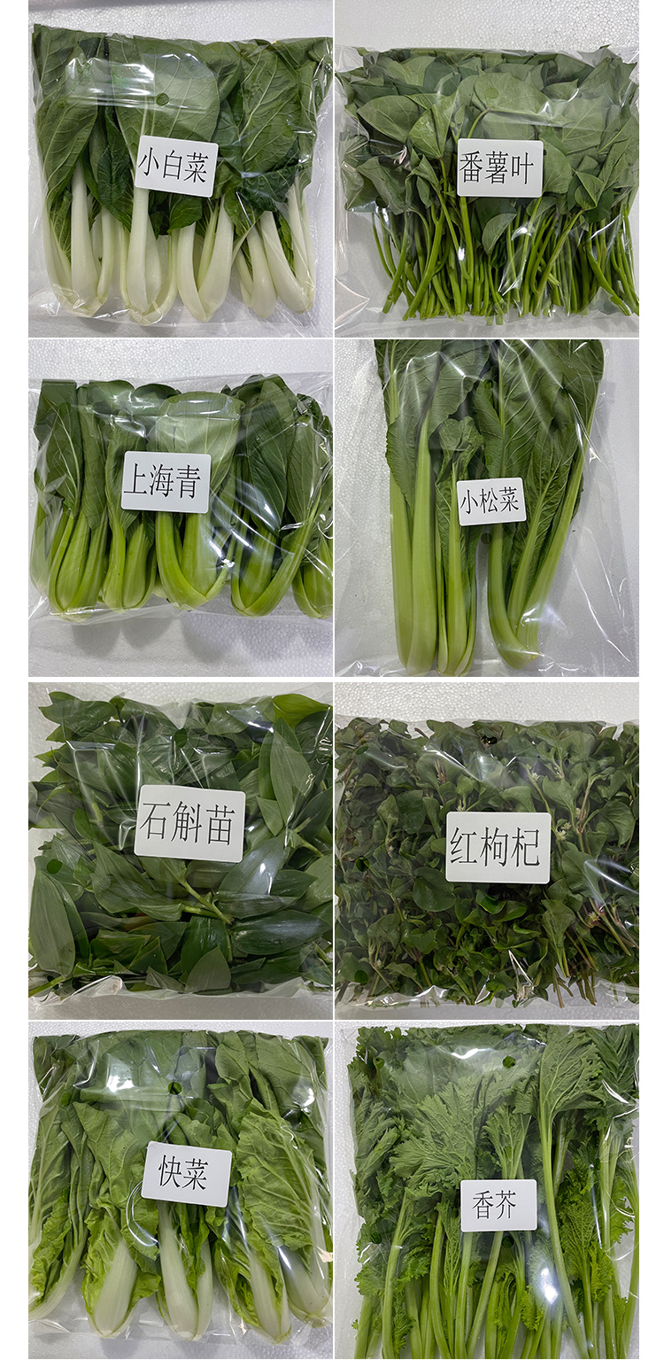 水耕蔬菜（功能菜+叶菜）_02.jpg
