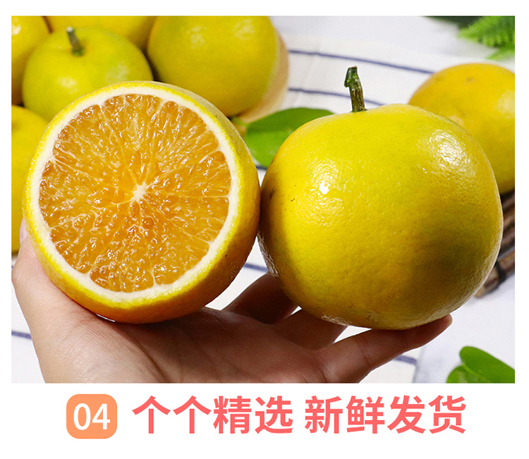 红江橙5.jpg