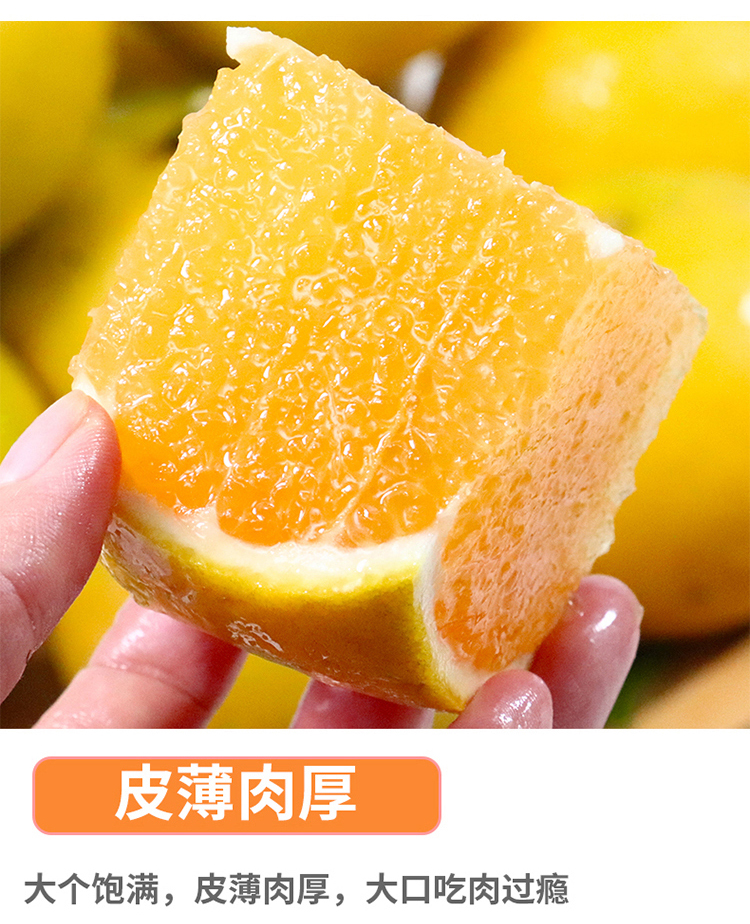 红江橙7.jpg
