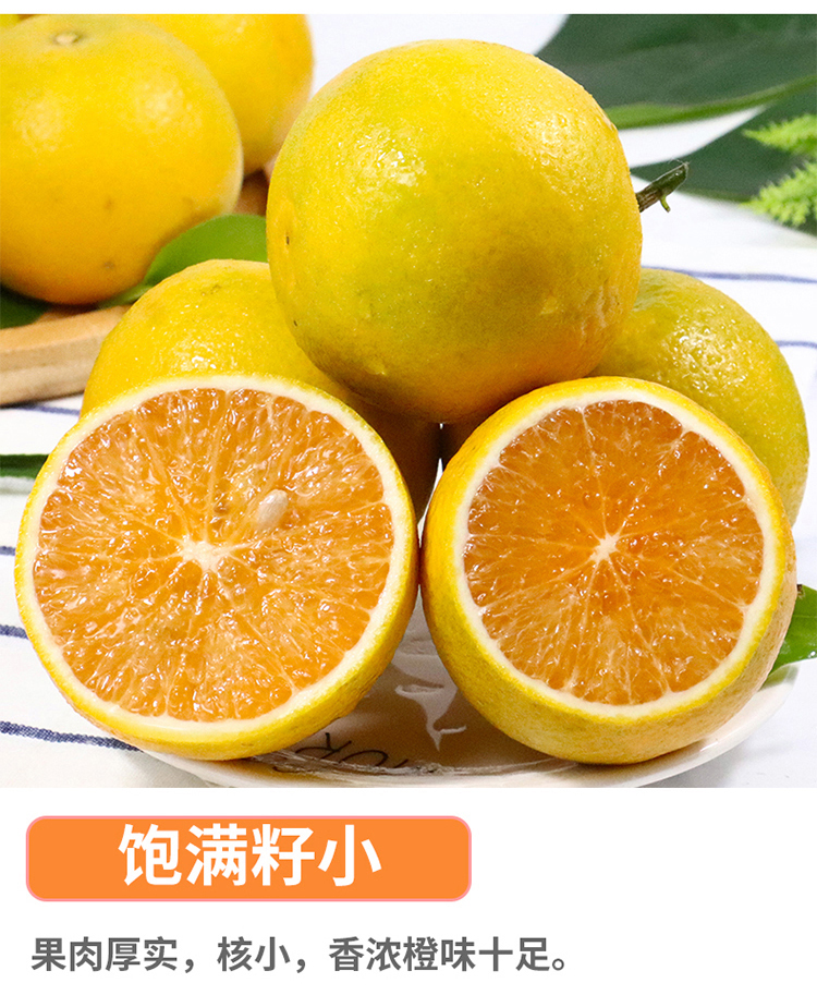 红江橙8.jpg