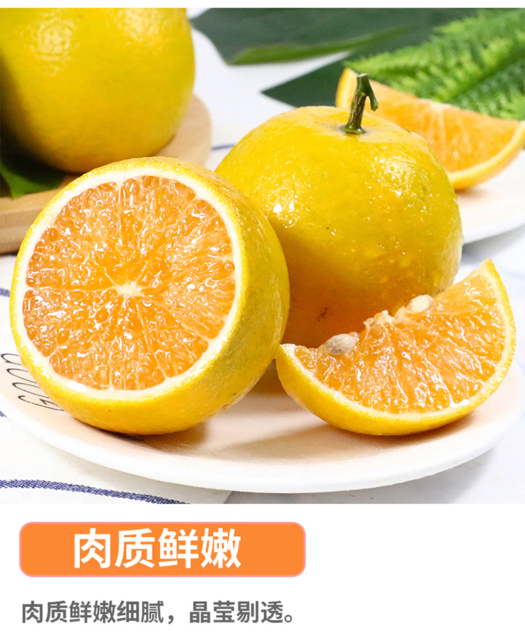 红江橙9.jpg
