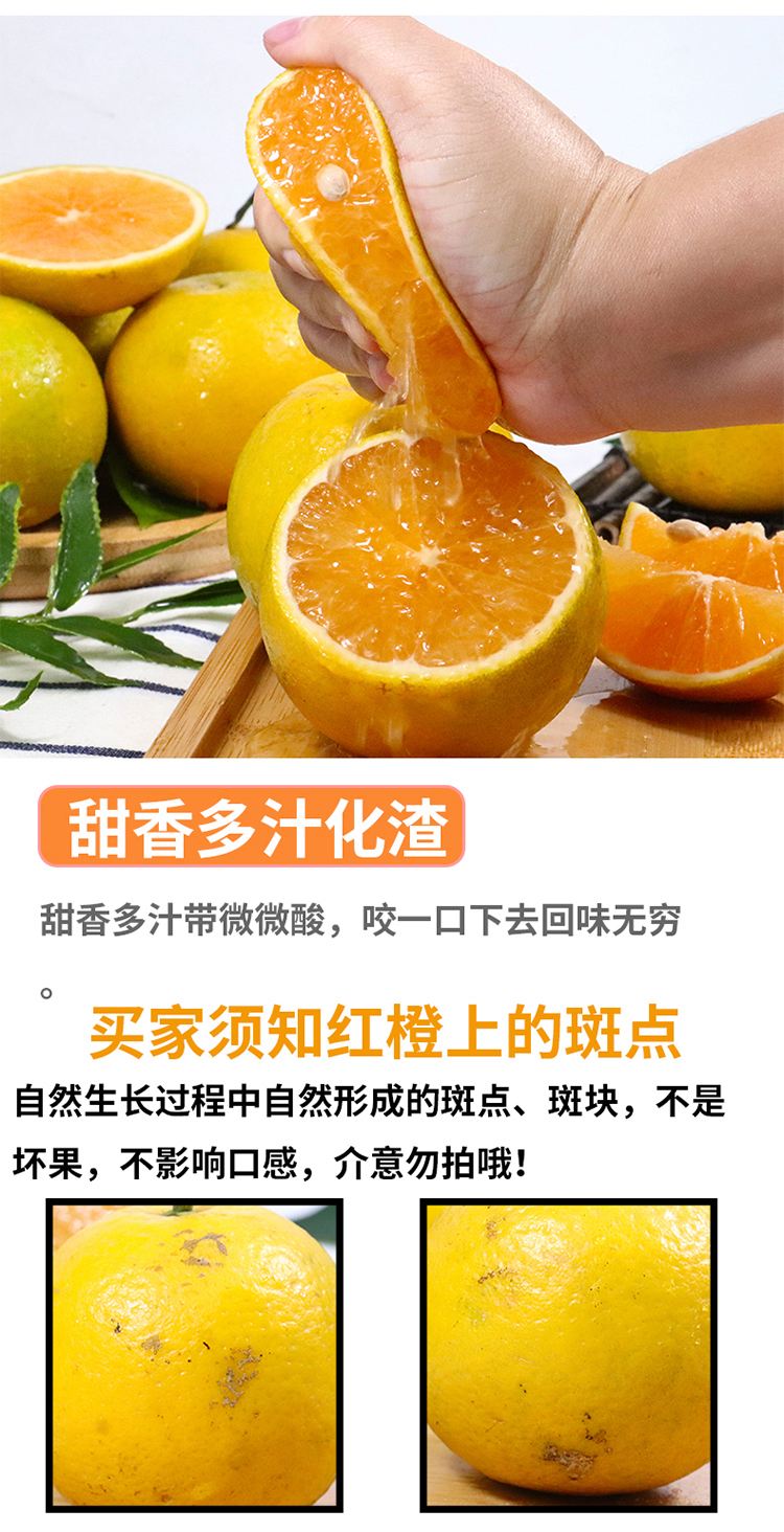 红江橙10.jpg