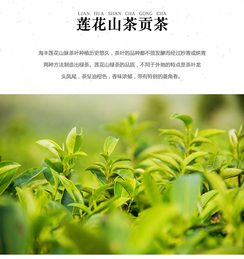 炒绿茶 (3).jpg