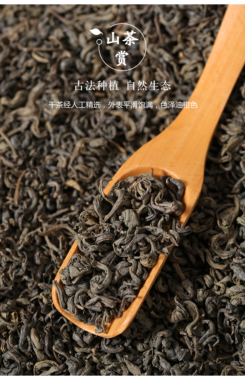 炒绿茶 (16).jpg