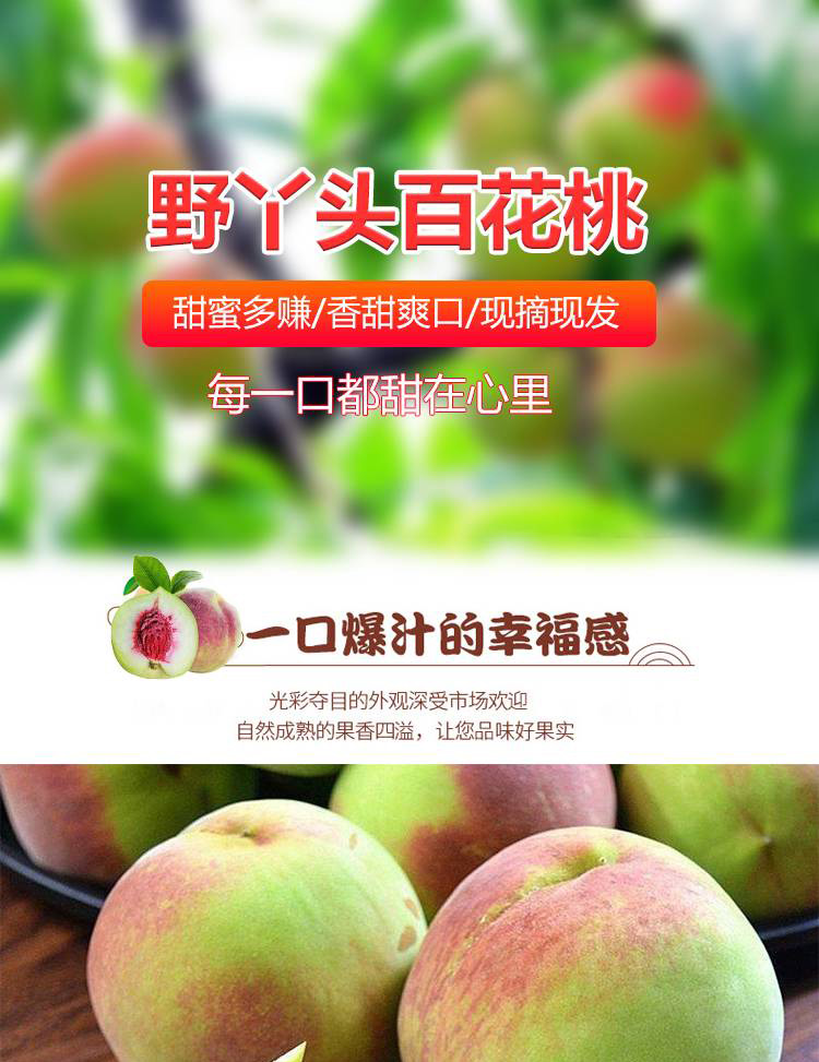 详情页(1)_01.jpg