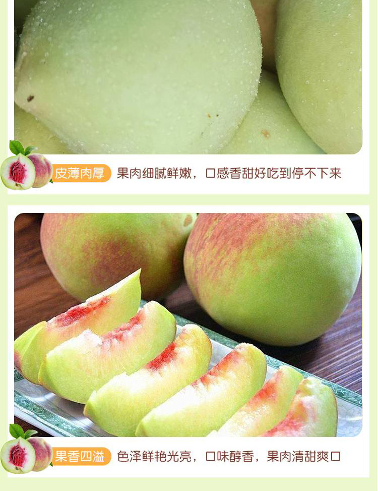 详情页(1)_05.jpg