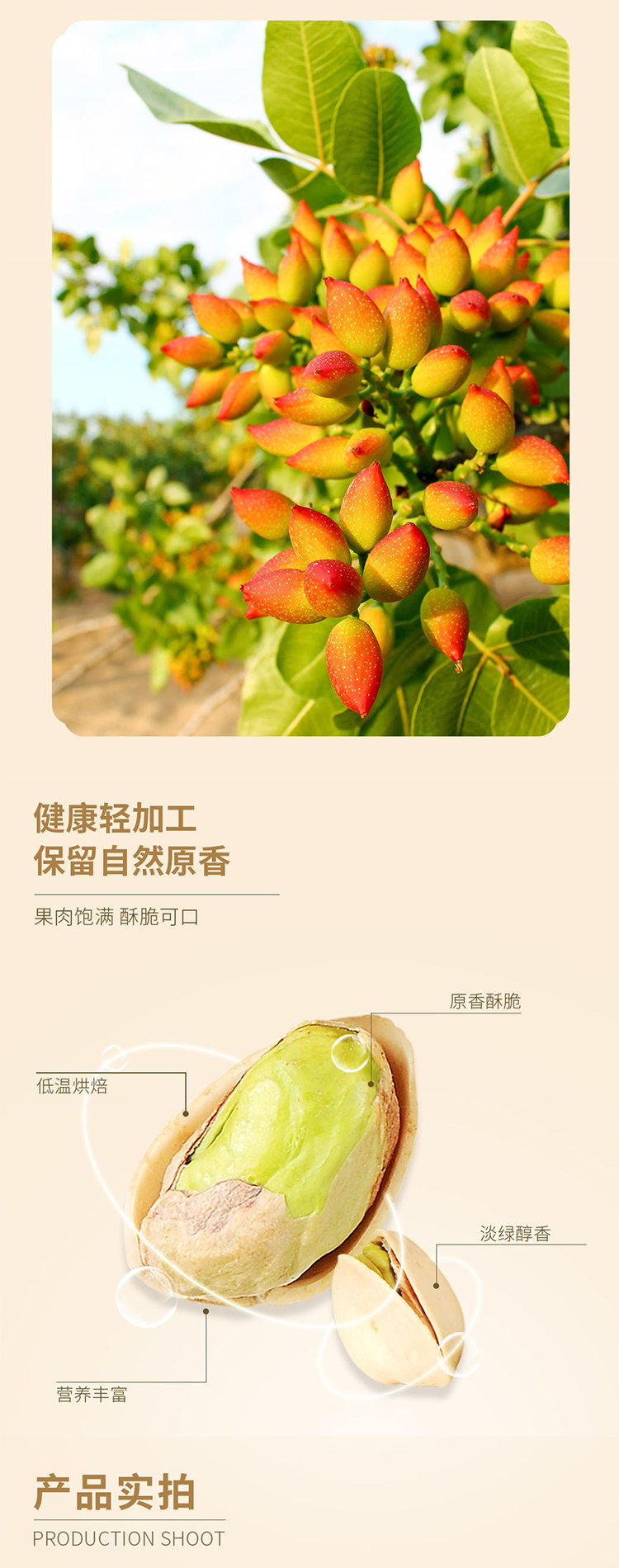 未标题-1_03.jpg