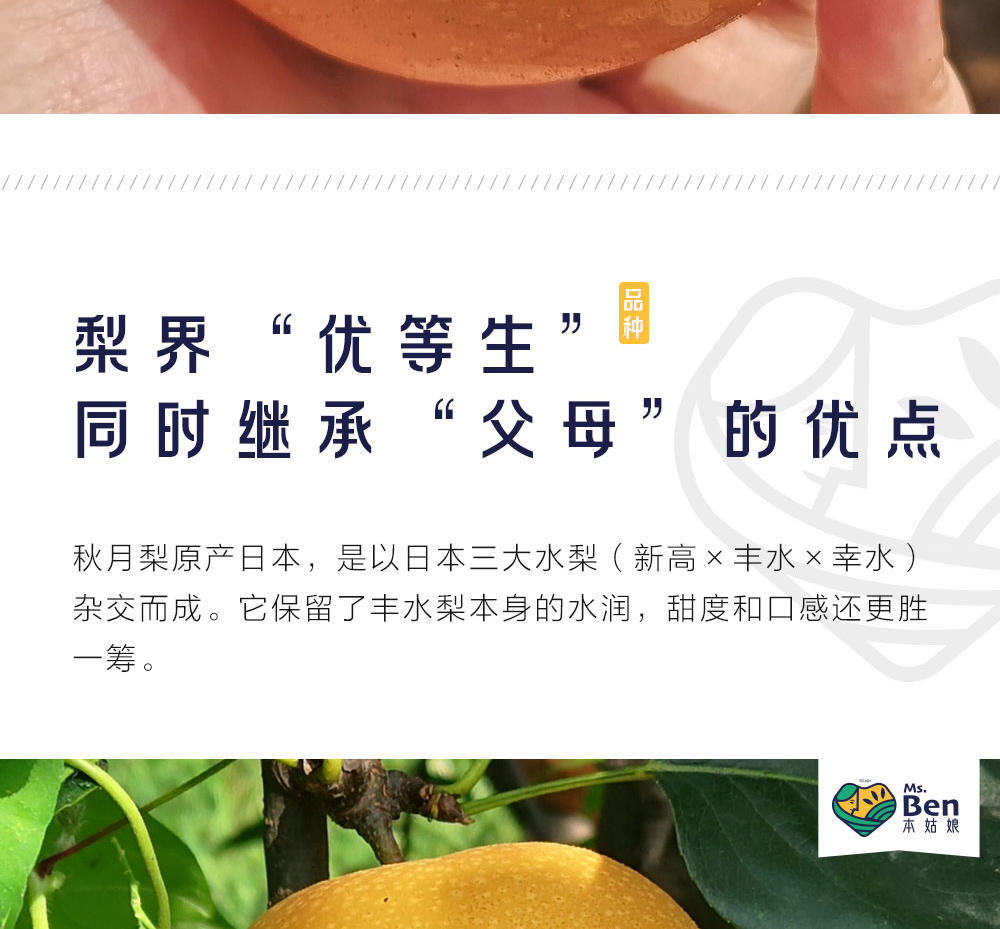 10010.7a4d6a1c-5fc1-47e9-b52f-516f8771d3b7_2_w1000_h929.jpg