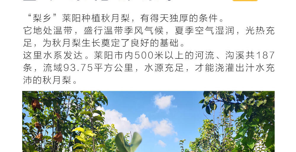 10013.ba7f86e9-9b52-4e2b-b649-d568abb43fee_3_w1000_h515.jpg