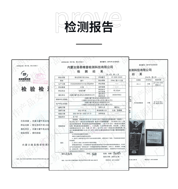 检测报告模板.jpg