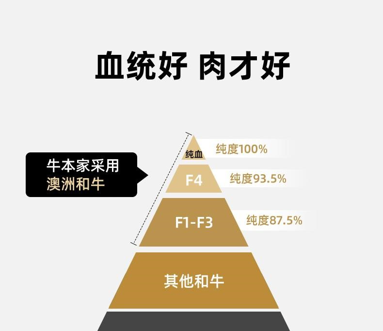 10013.1a628e21-dd01-4349-bb81-76660c0ec700_1_w790_h682.jpg