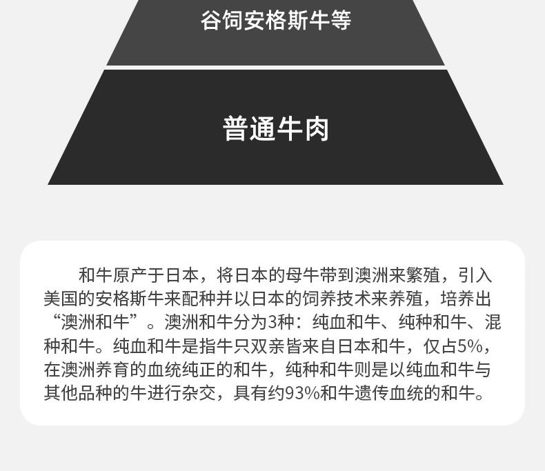 10014.1a628e21-dd01-4349-bb81-76660c0ec700_2_w790_h683.jpg