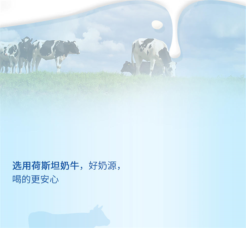 10005.1afd189d-7c84-46c2-a927-ffb7d84b1052_1_w1000_h926.jpg