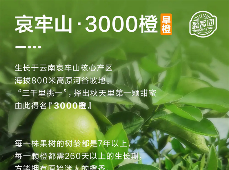 10004.jpg