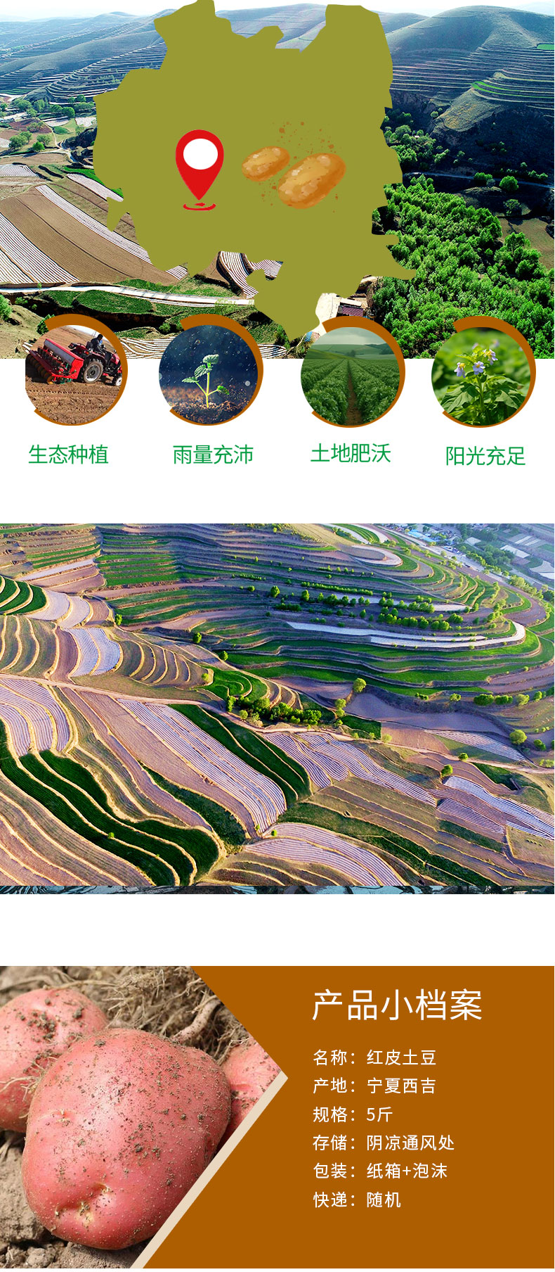 详情页_02.jpg