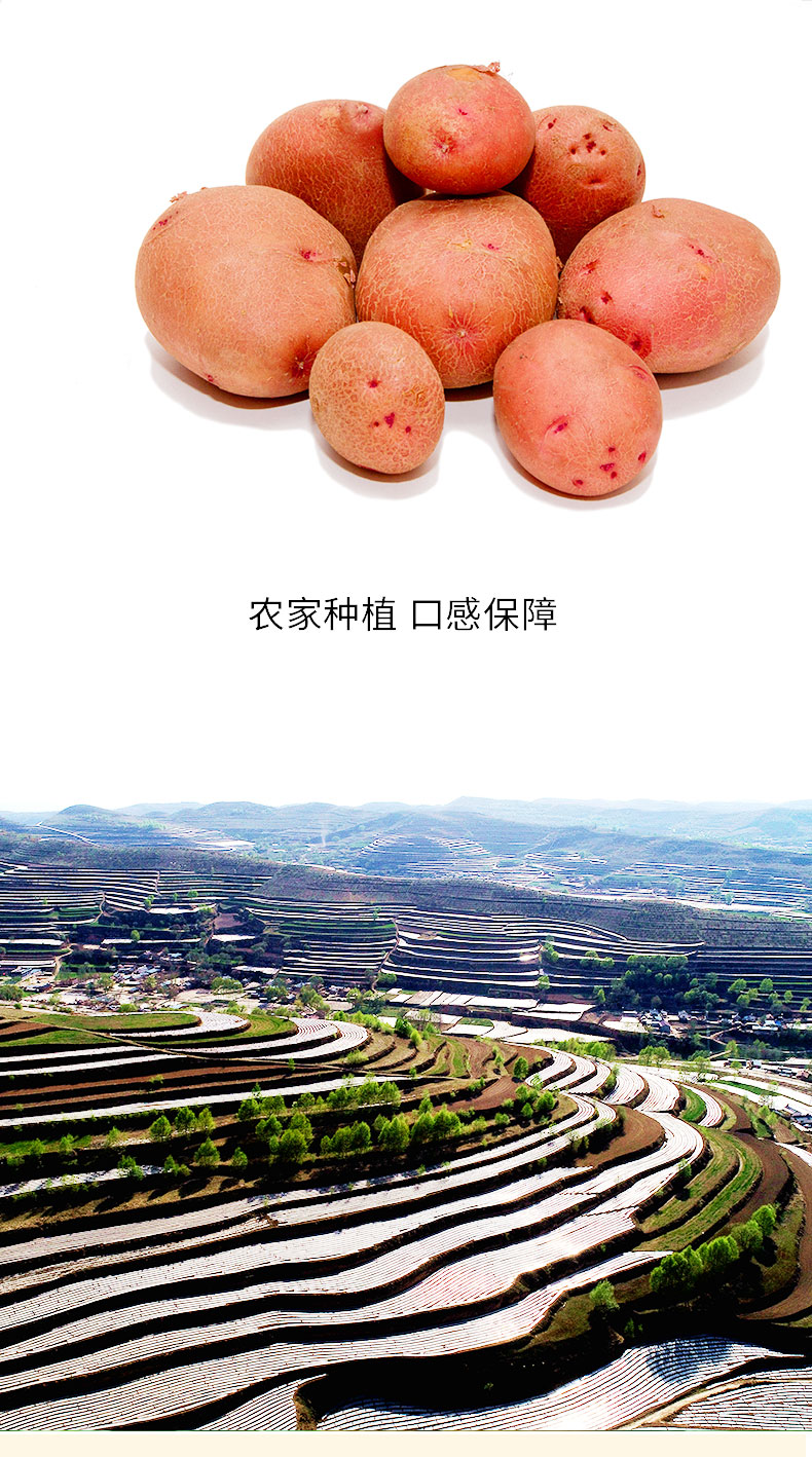 详情页_04.jpg