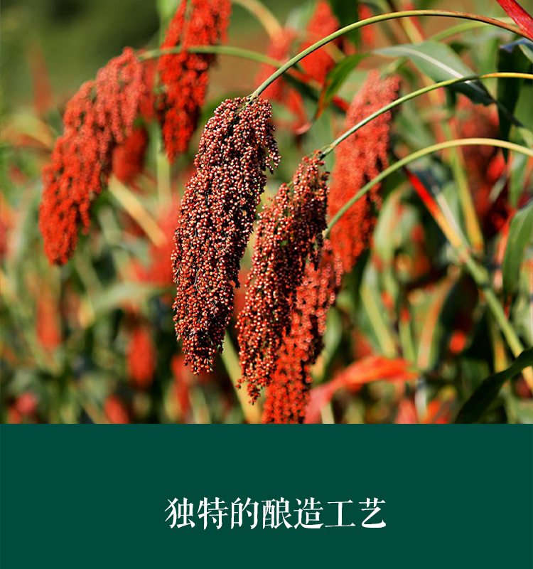 V2.0PC端_07.jpg