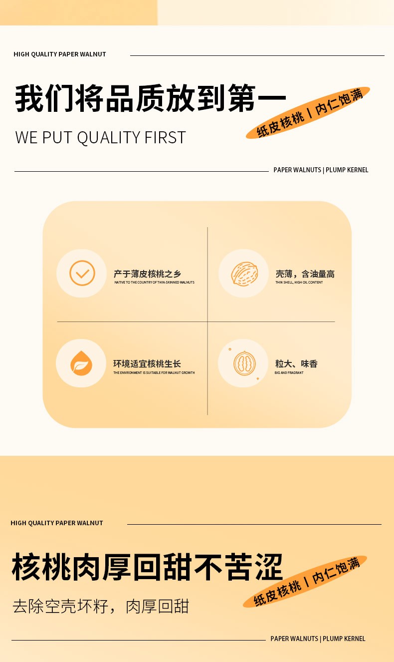 纸皮核桃_02.jpg